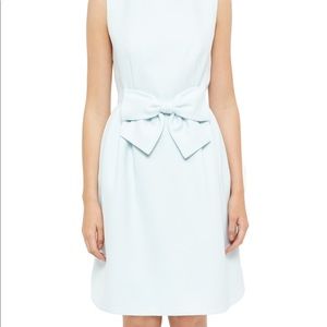 Ted Baker Nuhad Bow Dress in Mint